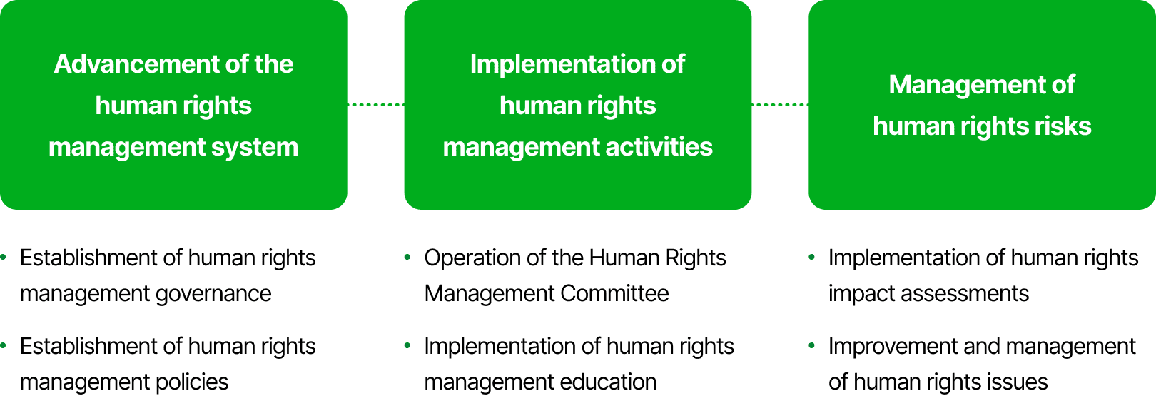 Advancement of the human rights management system(Establishment of human rights management governance, Establishment of human rights management policies), Implementation of human rights management activities(Operation of the Human Rights Management Committee, Implementation of human rights management education), Management of human rights risks(Implementation of human rights impact assessments, Improvement and management of human rights issues)